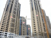 2019年3月15日工程進(jìn)度