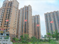 2015年11月工程進(jìn)度