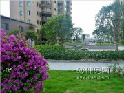 項(xiàng)目實(shí)景圖