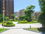 小區(qū)實(shí)景圖