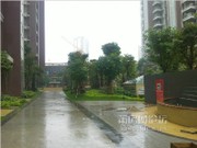 2014年5月小區(qū)實(shí)景