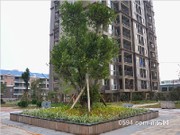 2015年12月16日工程進度