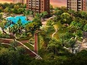 中央社區(qū)規(guī)劃