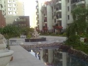 天通泰實(shí)景圖