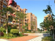 小區(qū)實景圖