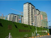 2019年11月工程進度