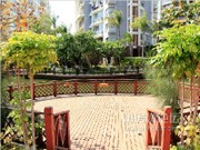 小區(qū)實景圖