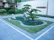 2018年11月工程進度