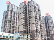 2015年3月項目實景圖