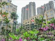 2017年3月工程進(jìn)度圖