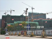 2019年3月工程進度