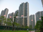 2018年10月9日工程進(jìn)度