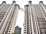 2019年12月18日工程進度