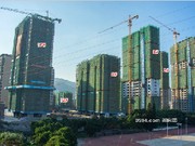 2019年11月工程進度