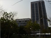 2015年3月工程進度