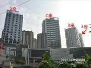 2015年9月工程進(jìn)度