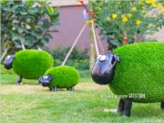 小區(qū)實(shí)景圖