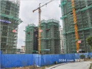 2016年1月工程進(jìn)度圖