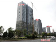 2015年11月工程進度圖