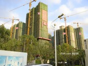 2020年11月4日工程進度（舊版樓棟號）