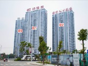 2019年3月工程進(jìn)度