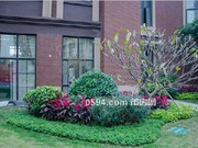 2018年1月工程進(jìn)度