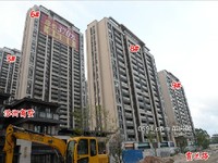 2020年8月工程進度圖