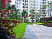 保利香檳國際小區(qū)實景