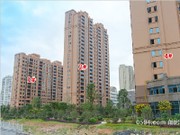 2015年11月工程進度