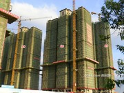 2020年11月4日工程進度（舊版樓棟號）