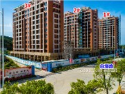 2020年8月工程進(jìn)度