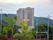 2019年11月7日工程進(jìn)度