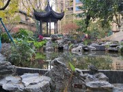 小區(qū)實(shí)景