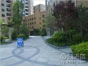 小區(qū)實(shí)景