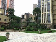 小區(qū)實(shí)景圖