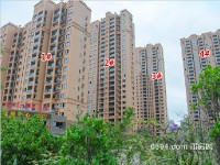 2015年11月工程進(jìn)度