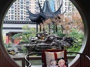 小區(qū)實(shí)景