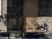 售樓部實(shí)景