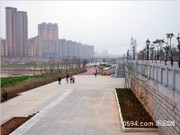 工程進(jìn)度圖