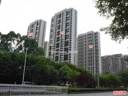 2019年8月7日工程進度