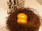 駿乘億發(fā)城樣板房