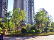 2017年8月工程實(shí)景圖