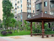 項(xiàng)目實(shí)景圖