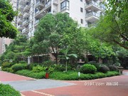 榮華書苑小區(qū)實景圖