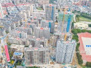 2020年3月工程進度