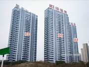 2019年3月工程進(jìn)度