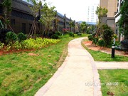 2016年11月9日工程進度