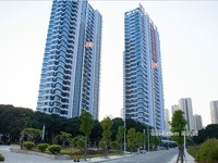 2019年11月工程進度