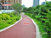 2017年7月6日工程進(jìn)度