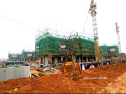 2020年3月18日工程進(jìn)度